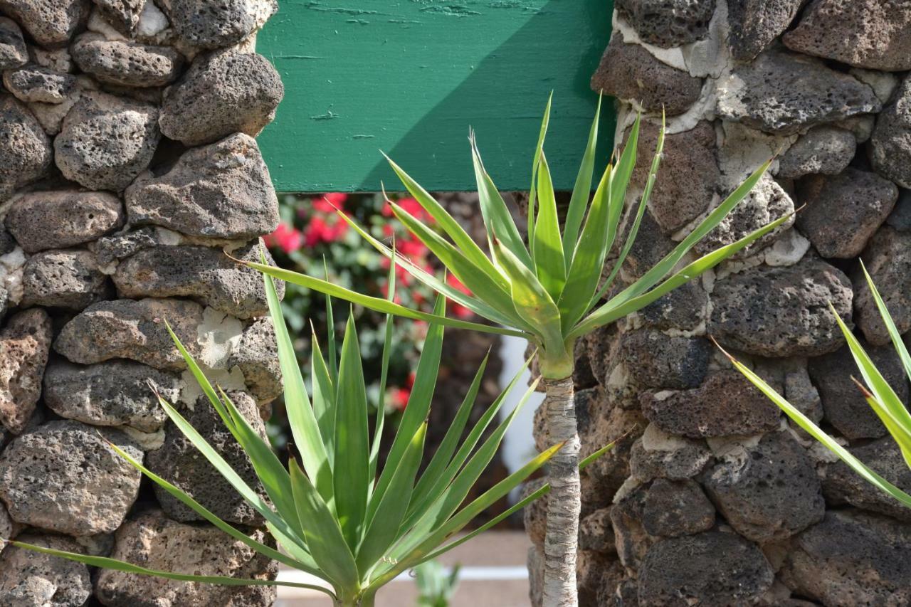 Ave Paraiso - Cozy And Sunny House Puerto del Carmen  Exterior foto